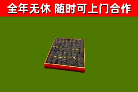 北碚回收海参